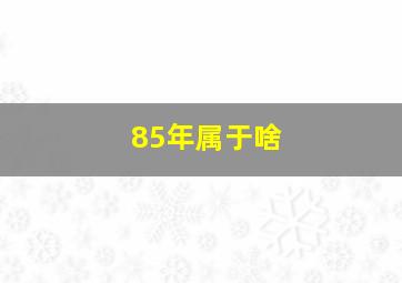 85年属于啥