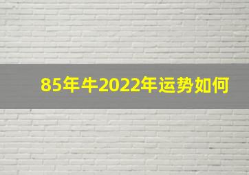 85年牛2022年运势如何