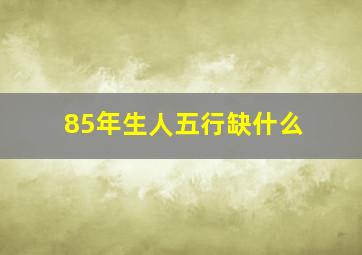 85年生人五行缺什么