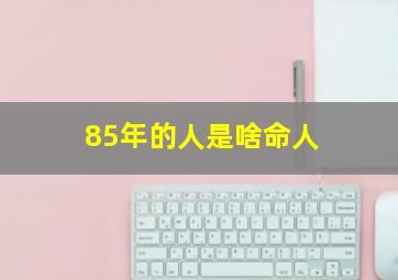 85年的人是啥命人