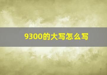 9300的大写怎么写