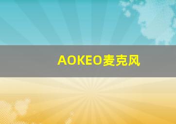 AOKEO麦克风