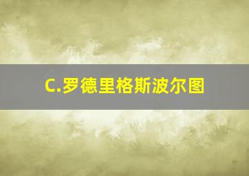 C.罗德里格斯波尔图