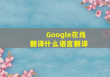 Google在线翻译什么语言翻译