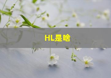 HL是啥