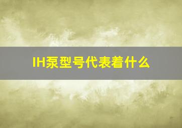 IH泵型号代表着什么