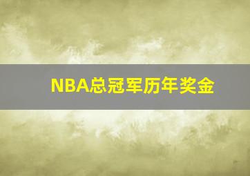 NBA总冠军历年奖金