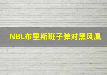 NBL布里斯班子弹对黑风凰