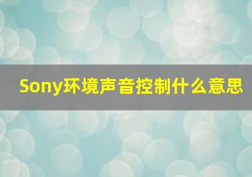 Sony环境声音控制什么意思