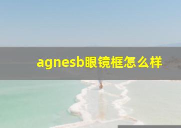 agnesb眼镜框怎么样