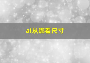 ai从哪看尺寸