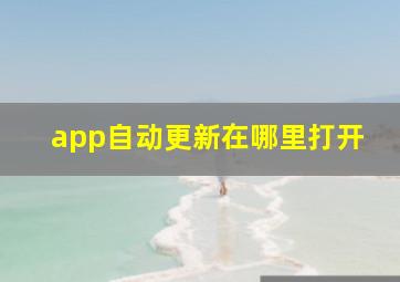 app自动更新在哪里打开