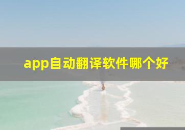 app自动翻译软件哪个好