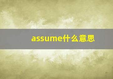 assume什么意思