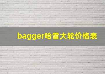 bagger哈雷大轮价格表