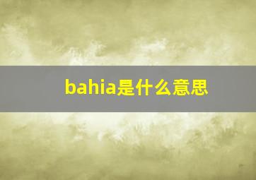 bahia是什么意思