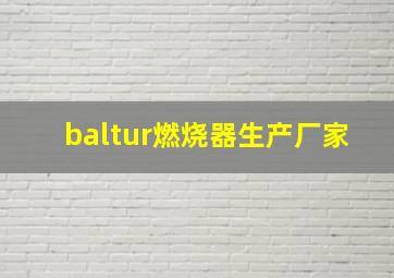 baltur燃烧器生产厂家