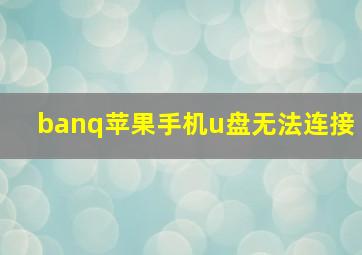 banq苹果手机u盘无法连接