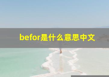 befor是什么意思中文