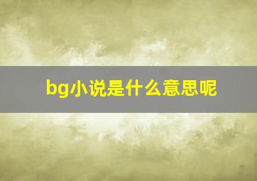 bg小说是什么意思呢