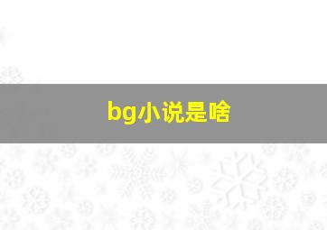 bg小说是啥