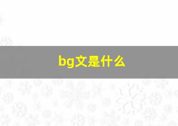 bg文是什么