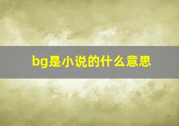 bg是小说的什么意思