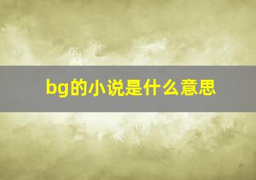 bg的小说是什么意思