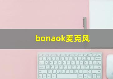 bonaok麦克风