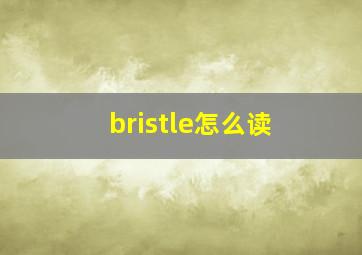 bristle怎么读