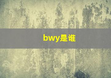 bwy是谁