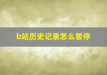 b站历史记录怎么暂停