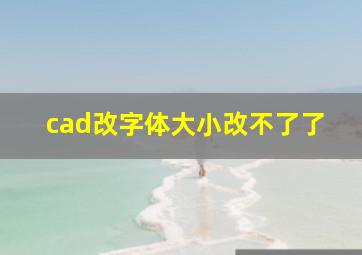 cad改字体大小改不了了