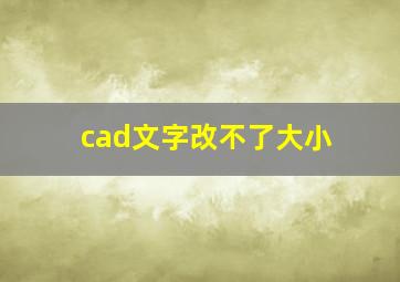 cad文字改不了大小