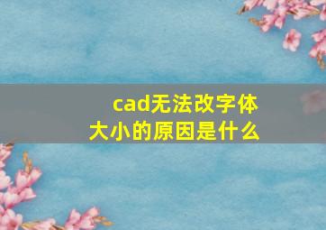 cad无法改字体大小的原因是什么