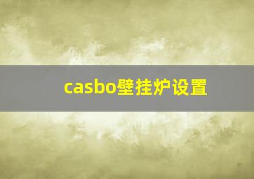 casbo壁挂炉设置