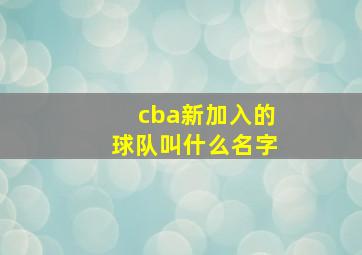 cba新加入的球队叫什么名字