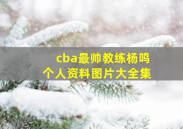 cba最帅教练杨鸣个人资料图片大全集