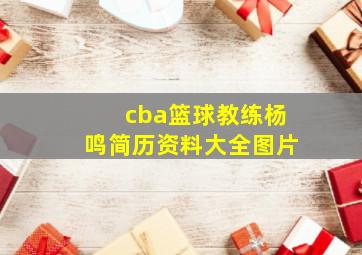 cba篮球教练杨鸣简历资料大全图片