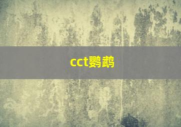 cct鹦鹉