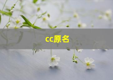 cc原名