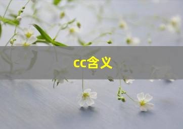 cc含义