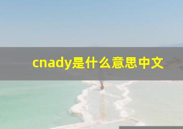 cnady是什么意思中文