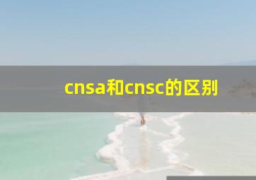 cnsa和cnsc的区别