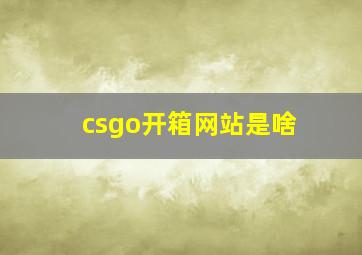 csgo开箱网站是啥