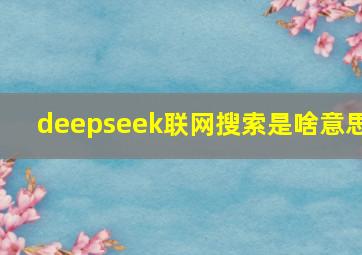 deepseek联网搜索是啥意思