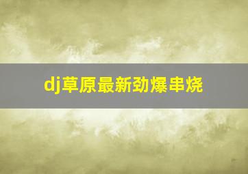 dj草原最新劲爆串烧