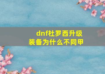 dnf杜罗西升级装备为什么不同甲