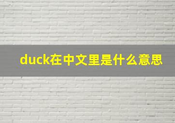 duck在中文里是什么意思