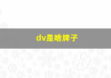 dv是啥牌子